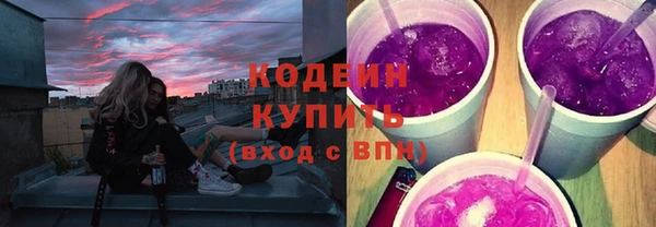 стаф Бородино