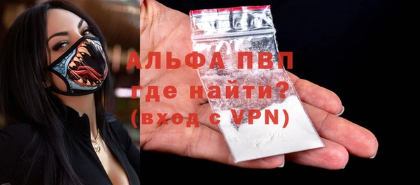 стаф Бородино