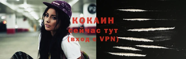 стаф Бородино