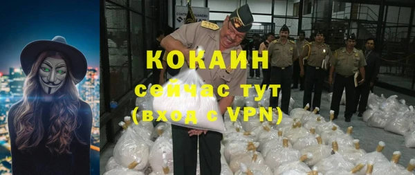 стаф Бородино
